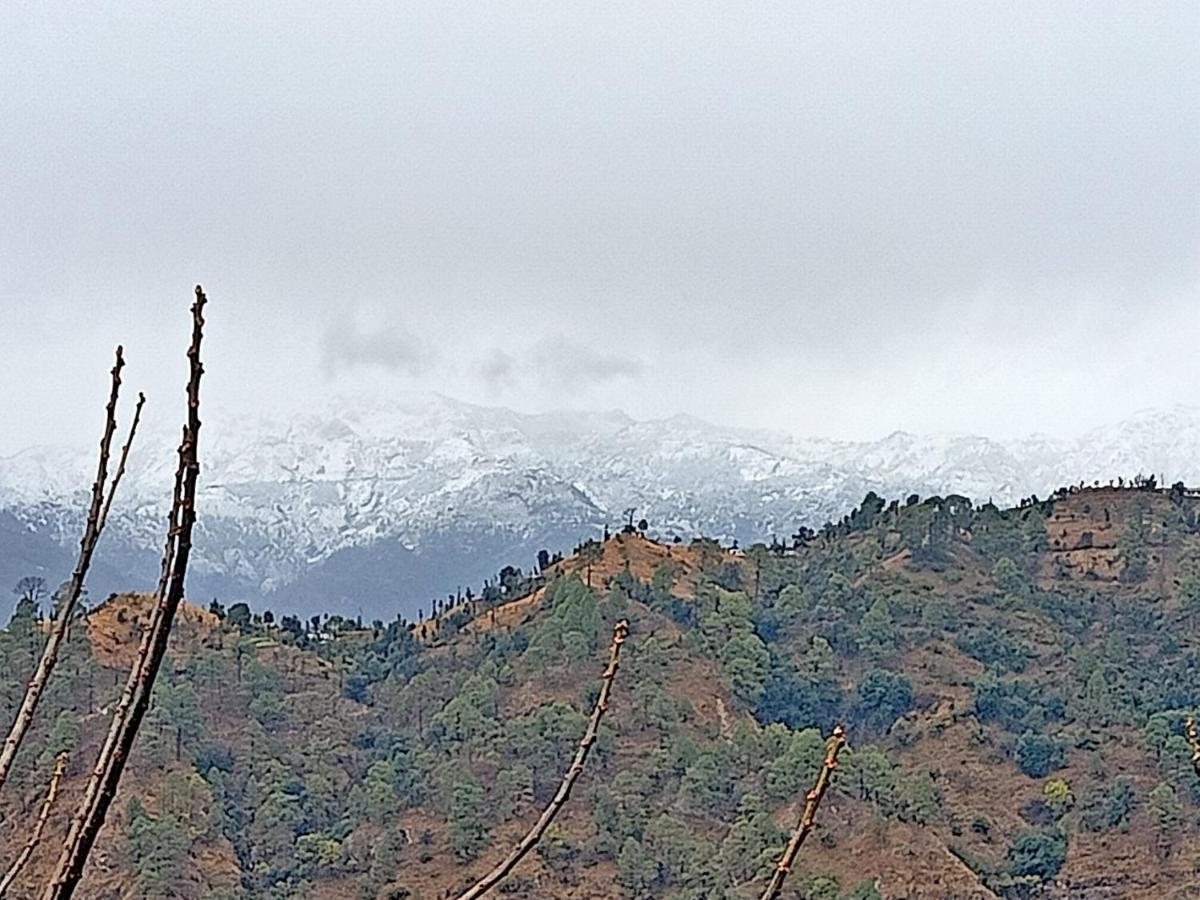 Shiva Valley Resort Kokhliyal Gaon Bagian luar foto