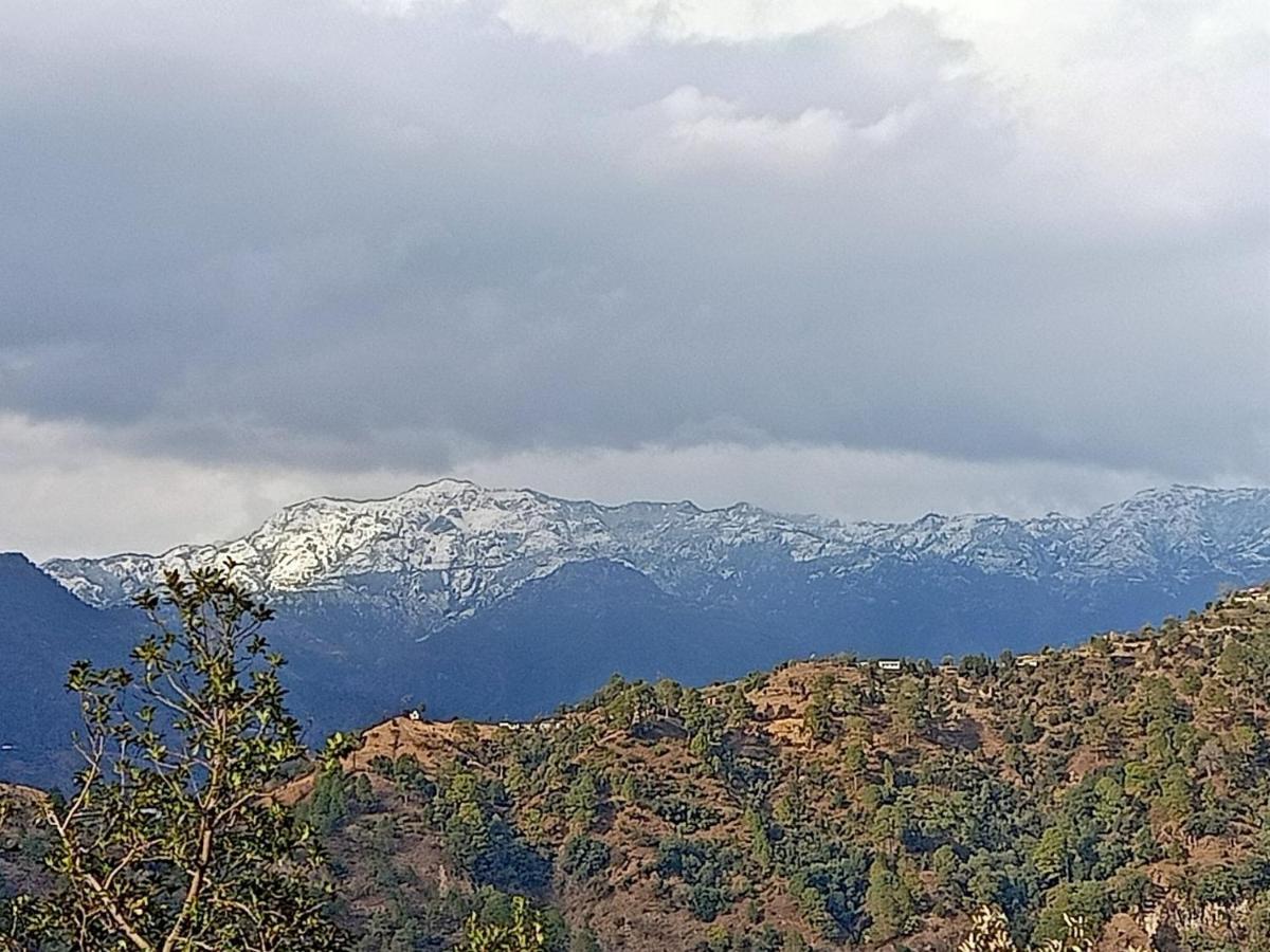 Shiva Valley Resort Kokhliyal Gaon Bagian luar foto